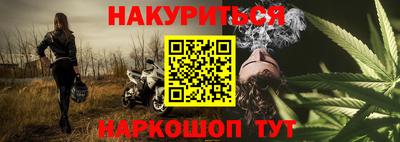 прущие грибы Надым
