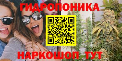 ECSTASY Мирный