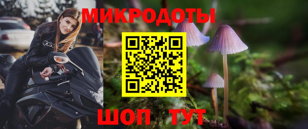 Псилоцибиновые грибы Cubensis  Вход с VPN  Коммунар 